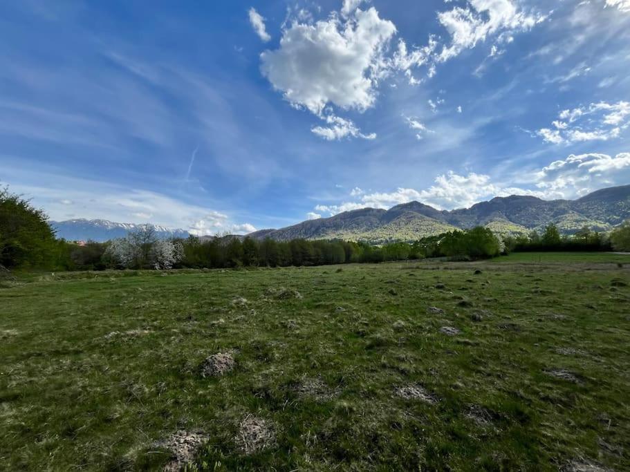 Alpine Chalet Predelut Bagian luar foto