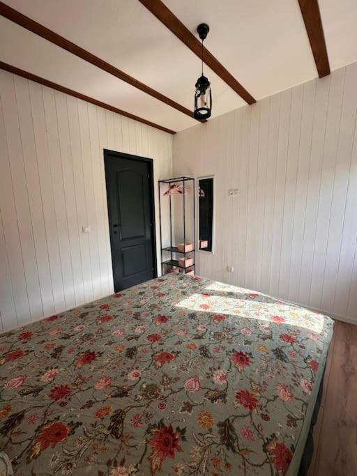 Alpine Chalet Predelut Bagian luar foto